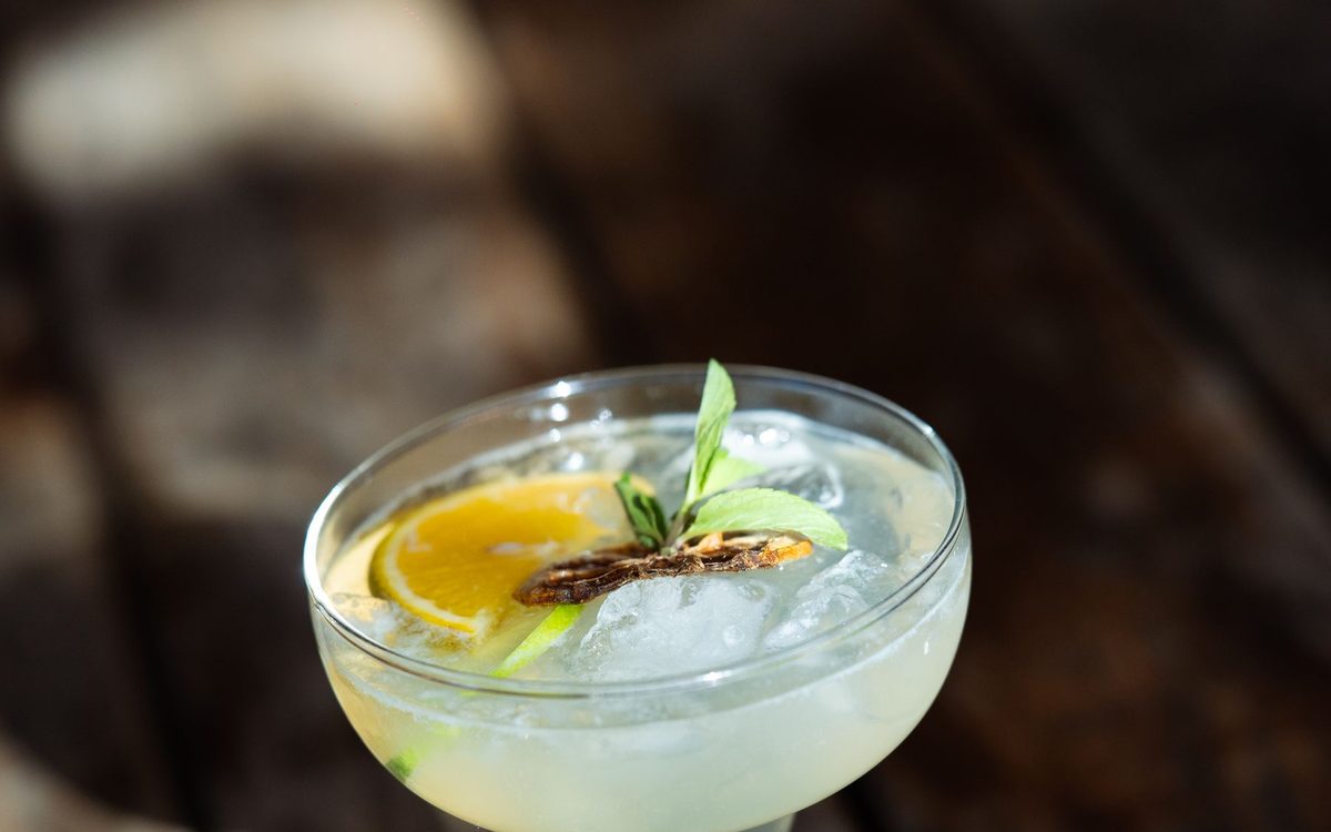 Pale cocktail in a coupe glass with a citrus garnish